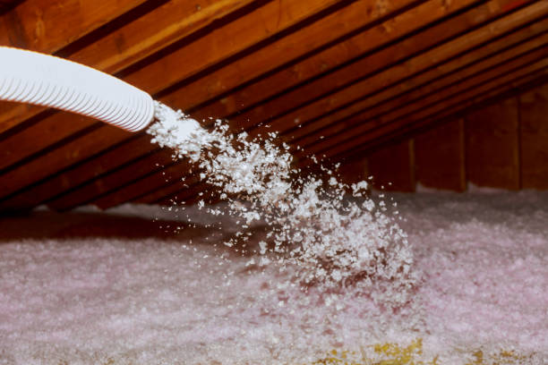 Best Insulation Materials and Products in Roswell, NM