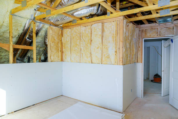 Best Insulation Installation Services in Roswell, NM